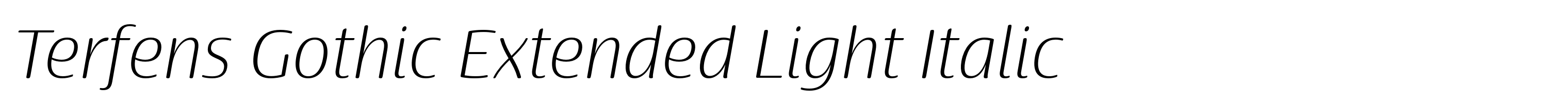 Terfens Gothic Extended Light Italic